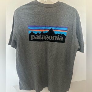 Patagonia Gray Mountain Graphic Tee